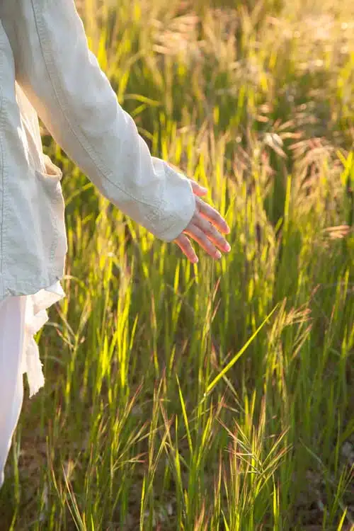 Consultas y acompañamiento