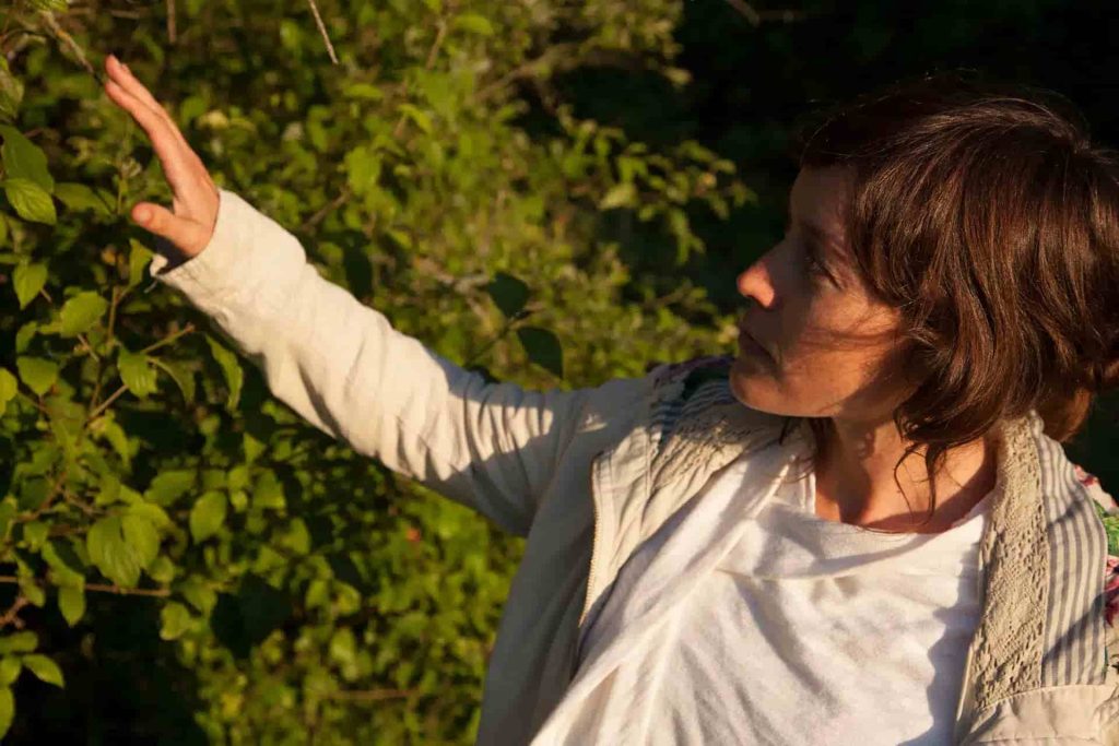 Formación completa Registros Akáshicos